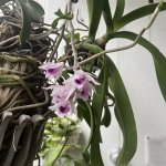 IMG_5346.jpeg
