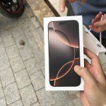 IMG_9387.jpeg