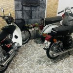 IMG_9175.jpeg