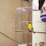 IMG_1817.JPG