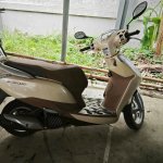 IMG_3717.jpeg