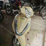 IMG_3720.jpeg