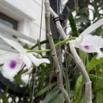 IMG_4702.jpeg
