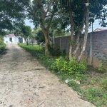 IMG_9465.jpeg