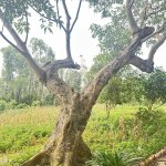 IMG_9468.jpeg