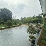 IMG_9473.jpeg