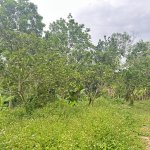 IMG_9482.jpeg