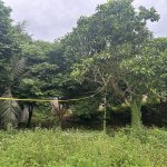 IMG_9485.jpeg