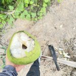 IMG_7888.jpeg