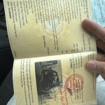 IMG_2894.jpeg