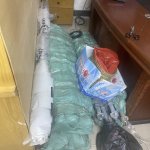 IMG_1768.jpeg