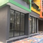 IMG_1800.jpeg
