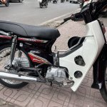 IMG_3021.jpeg