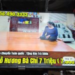 adcc0d9a-adfd-4c04-8a6c-7ec16448b614-1_all_17348.jpg