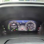 IMG_7965.jpeg