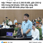 IMG_1623.png