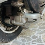 IMG_4038.jpeg