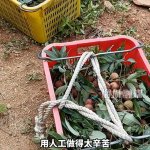 IMG_4969.jpeg