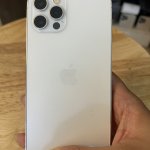 IMG_0864.jpeg
