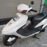 IMG_3795.jpeg