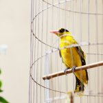 IMG_1607.JPG