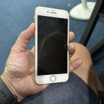 IMG_9915.jpeg