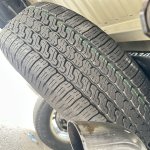IMG_4239.jpeg