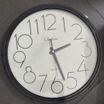 IMG_8990.jpeg