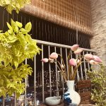 IMG_0631.jpeg