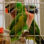 IMG_3019.JPG