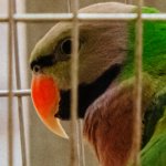 IMG_3019 Crop.JPG