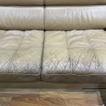 IMG_5849.jpeg