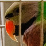 IMG_3019 Crop.JPG