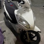 IMG_3847.jpeg