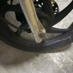 IMG_3851.jpeg