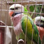 IMG_3048.JPG