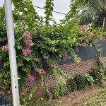 IMG_3692.jpeg