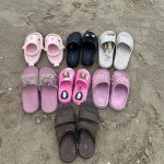 IMG_0543.jpeg
