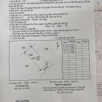 IMG_2345.jpeg