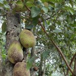 IMG_2583.jpeg