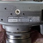 PXL_20250629_024154529.RAW-01.COVER.jpg