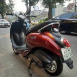 IMG_3867.jpeg