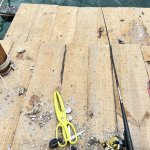 IMG_8068.jpeg