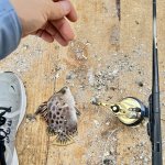 IMG_8074.jpeg