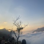 IMG_3944.jpeg