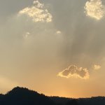 IMG_0314.jpeg