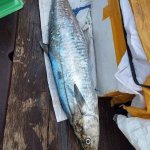 IMG_7704.jpeg