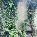 IMG_2622.jpeg