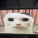 4BCC21E1-C0BB-4A3F-B8EC-6F4BDBD970B6.jpeg