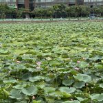 IMG_5830.jpeg